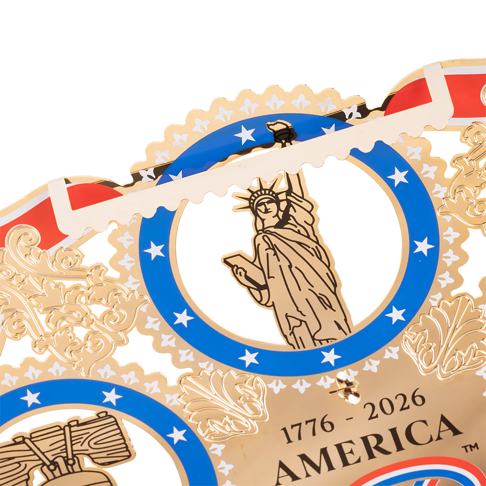 A250 American Icons Ornament 10" Display Wall Hanging - Image 4