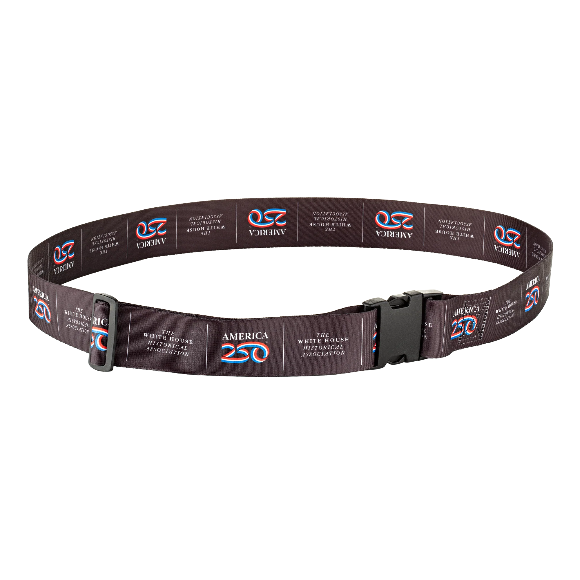 A250 Luggage Strap