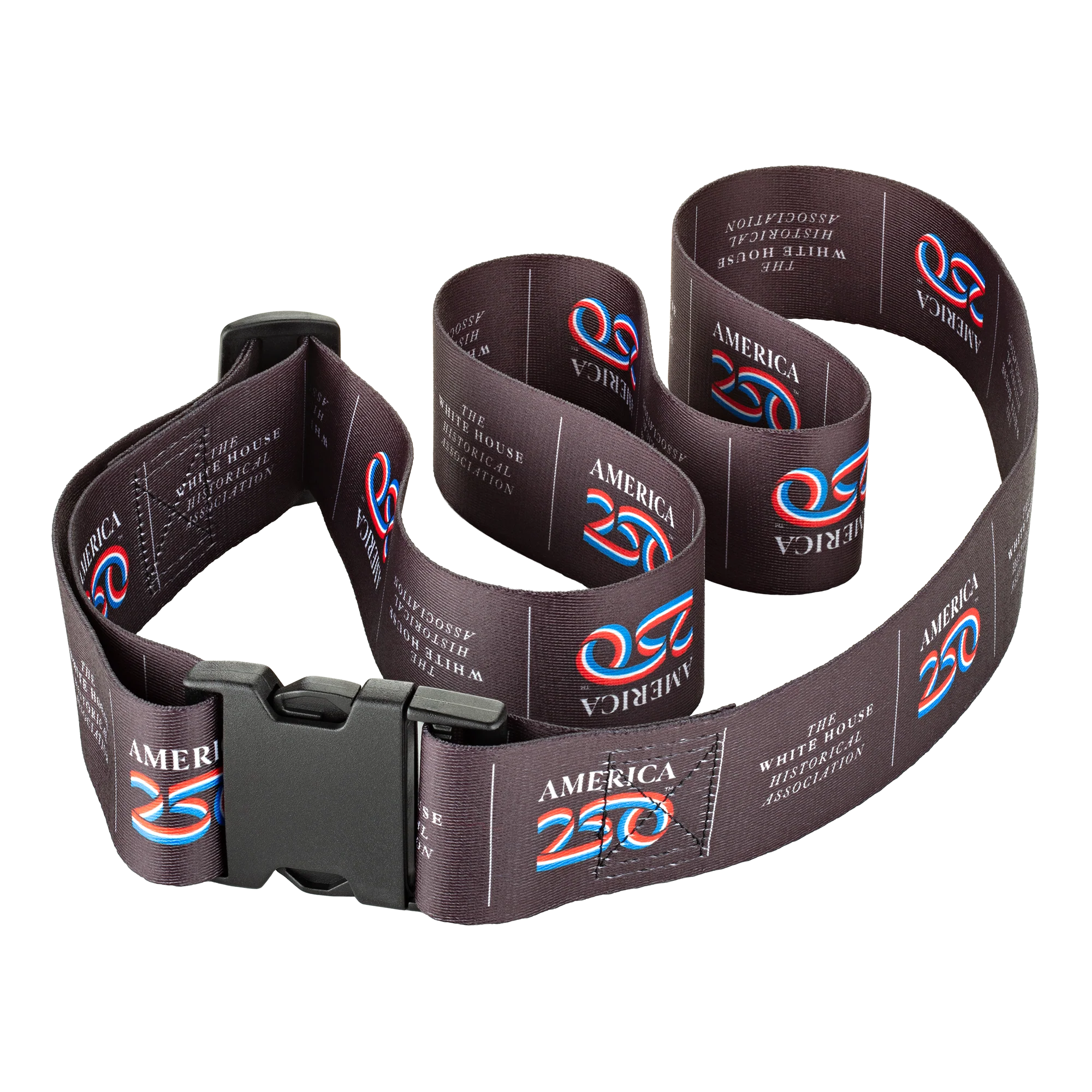 A250 Luggage Strap - Image 3