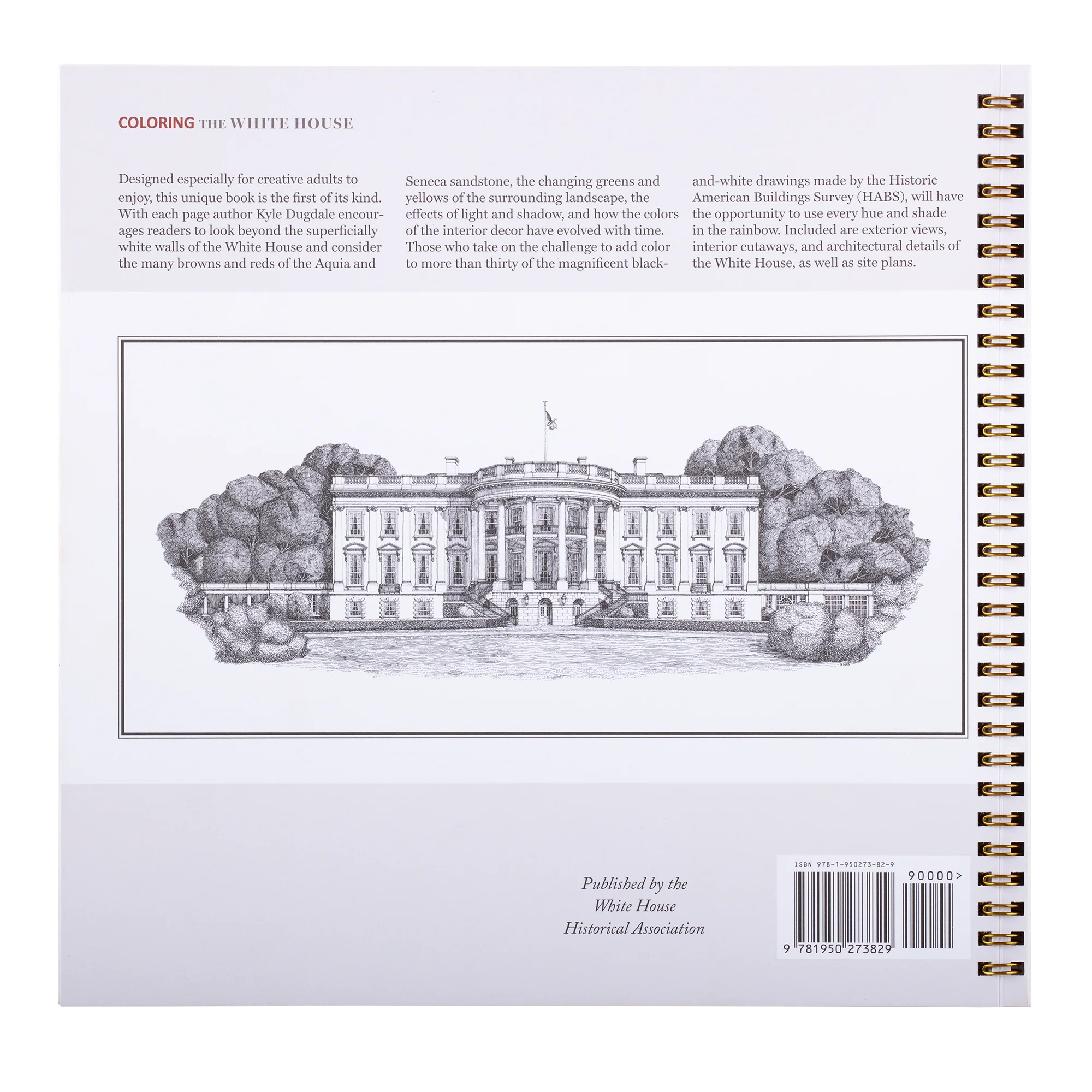 Coloring the White House - Image 2