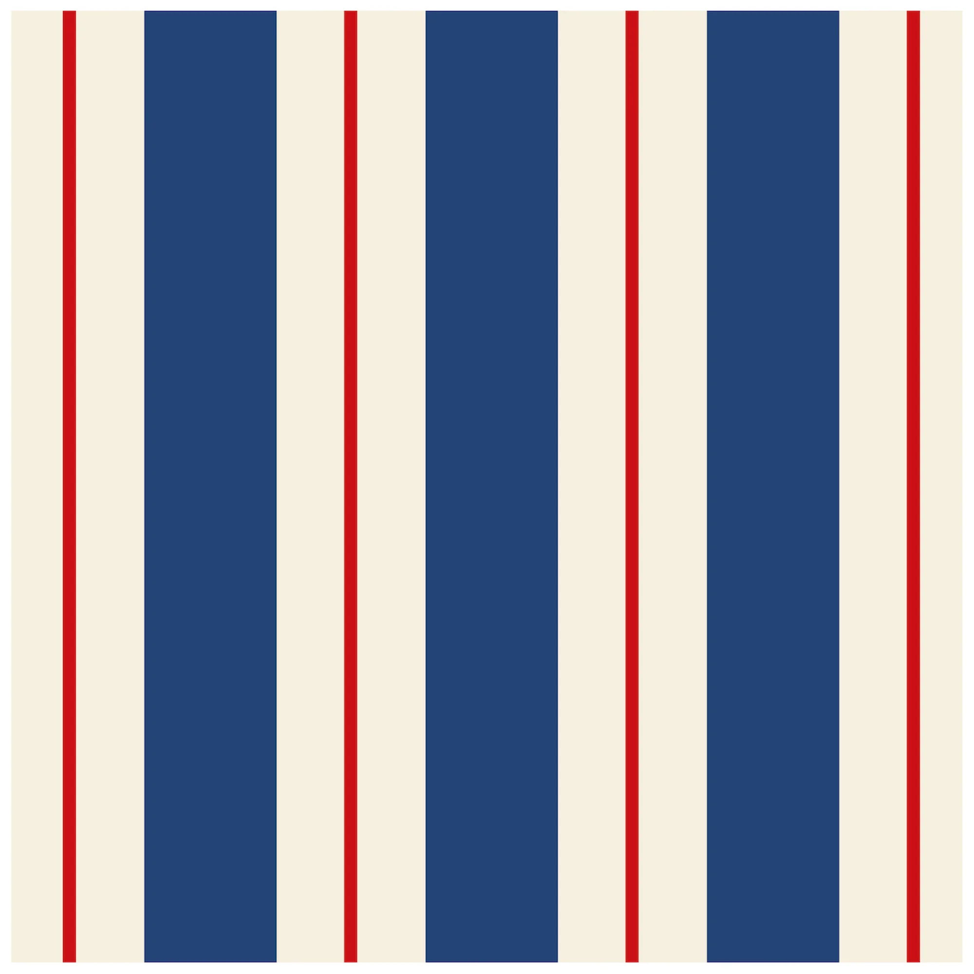 Striped Cocktail Paper Napkins - Set of 20