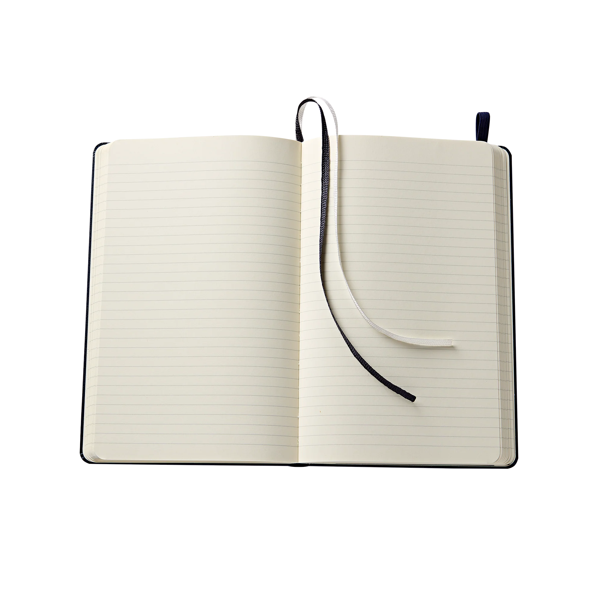 Truman Seal Moleskine Notebook - Large - Image 3